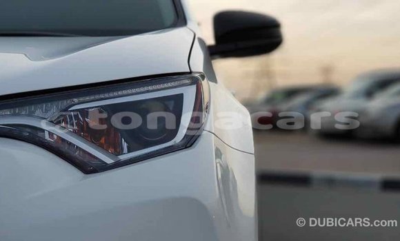 Buy Import Toyota RAV4 White Car in Import - Dubai in Eua Buy Import Toyota RAV4 White Car in Import - Dubai in Eua
