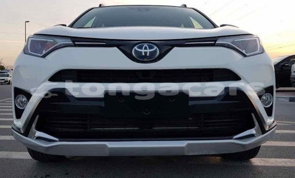 Buy Import Toyota RAV4 White Car in Import - Dubai in Eua Buy Import Toyota RAV4 White Car in Import - Dubai in Eua