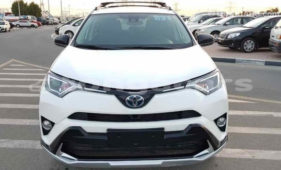 Buy Import Toyota RAV4 White Car in Import - Dubai in Eua Buy Import Toyota RAV4 White Car in Import - Dubai in Eua