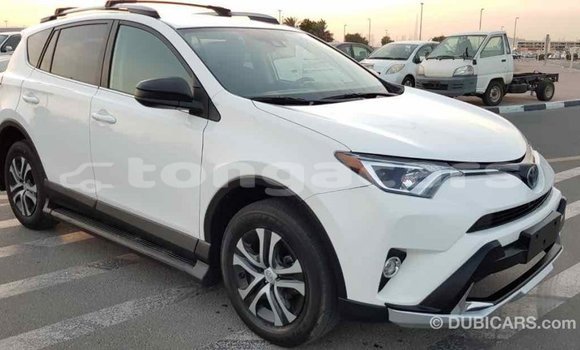 Buy Import Toyota RAV4 White Car in Import - Dubai in Eua Buy Import Toyota RAV4 White Car in Import - Dubai in Eua