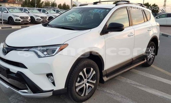 Buy Import Toyota RAV4 White Car in Import - Dubai in Eua Buy Import Toyota RAV4 White Car in Import - Dubai in Eua