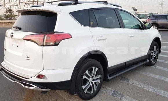 Buy Import Toyota RAV4 White Car in Import - Dubai in Eua Buy Import Toyota RAV4 White Car in Import - Dubai in Eua
