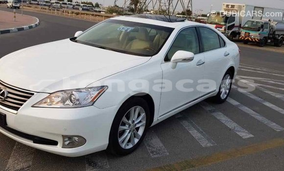 Buy Import Lexus ES White Car in Import - Dubai in Eua Buy Import Lexus ES White Car in Import - Dubai in Eua