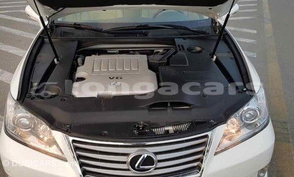 Buy Import Lexus ES White Car in Import - Dubai in Eua Buy Import Lexus ES White Car in Import - Dubai in Eua