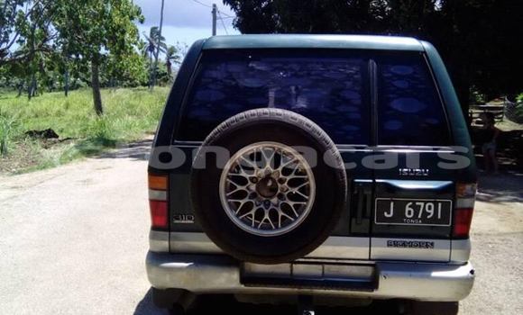 Acheter Occasion Voiture Isuzu Trooper Autre à Ohonua, Eua