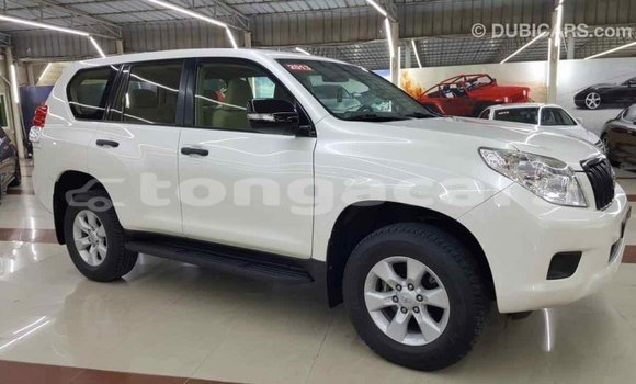 Acheter Import Voiture Toyota Prado Blanc à Import - Dubai, Eua Acheter Import Voiture Toyota Prado Blanc à Import - Dubai, Eua