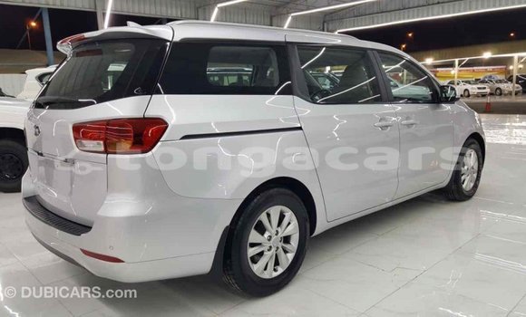 Acheter Import Voiture Kia Carnival Autre à Import - Dubai, Eua Acheter Import Voiture Kia Carnival Autre à Import - Dubai, Eua