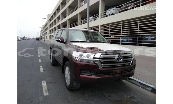 Acheter Import Voiture Toyota Land Cruiser Marron à Import - Dubai, Eua Acheter Import Voiture Toyota Land Cruiser Marron à Import - Dubai, Eua