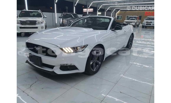 Acheter Import Voiture Ford Mustang Blanc à Import - Dubai, Eua Acheter Import Voiture Ford Mustang Blanc à Import - Dubai, Eua