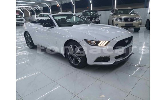 Acheter Import Voiture Ford Mustang Blanc à Import - Dubai, Eua Acheter Import Voiture Ford Mustang Blanc à Import - Dubai, Eua