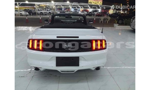 Acheter Import Voiture Ford Mustang Blanc à Import - Dubai, Eua Acheter Import Voiture Ford Mustang Blanc à Import - Dubai, Eua