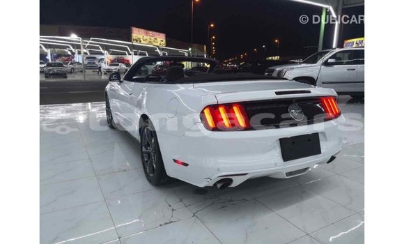 Acheter Import Voiture Ford Mustang Blanc à Import - Dubai, Eua Acheter Import Voiture Ford Mustang Blanc à Import - Dubai, Eua