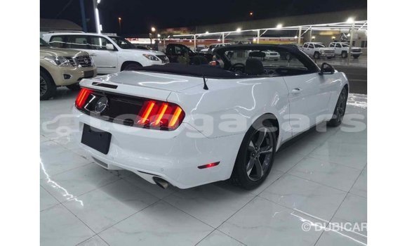 Acheter Import Voiture Ford Mustang Blanc à Import - Dubai, Eua Acheter Import Voiture Ford Mustang Blanc à Import - Dubai, Eua