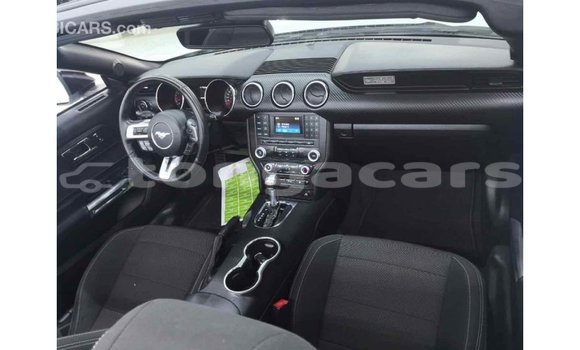 Acheter Import Voiture Ford Mustang Blanc à Import - Dubai, Eua Acheter Import Voiture Ford Mustang Blanc à Import - Dubai, Eua