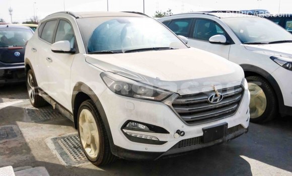 Acheter Import Voiture Hyundai Tucson Blanc à Import - Dubai, Eua Acheter Import Voiture Hyundai Tucson Blanc à Import - Dubai, Eua