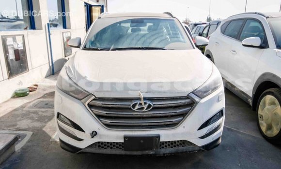 Acheter Import Voiture Hyundai Tucson Blanc à Import - Dubai, Eua Acheter Import Voiture Hyundai Tucson Blanc à Import - Dubai, Eua