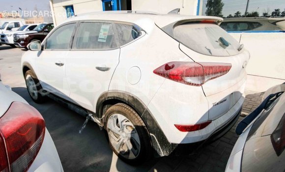Acheter Import Voiture Hyundai Tucson Blanc à Import - Dubai, Eua Acheter Import Voiture Hyundai Tucson Blanc à Import - Dubai, Eua
