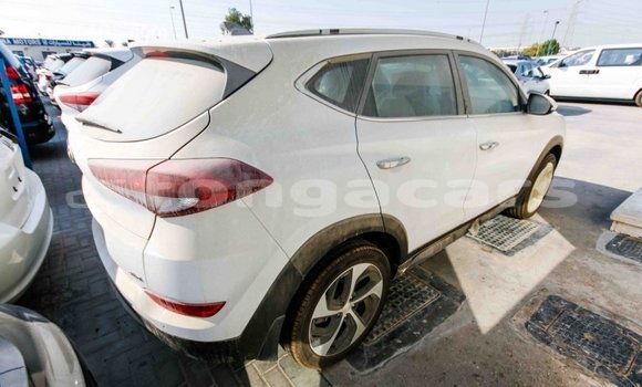 Acheter Import Voiture Hyundai Tucson Blanc à Import - Dubai, Eua Acheter Import Voiture Hyundai Tucson Blanc à Import - Dubai, Eua