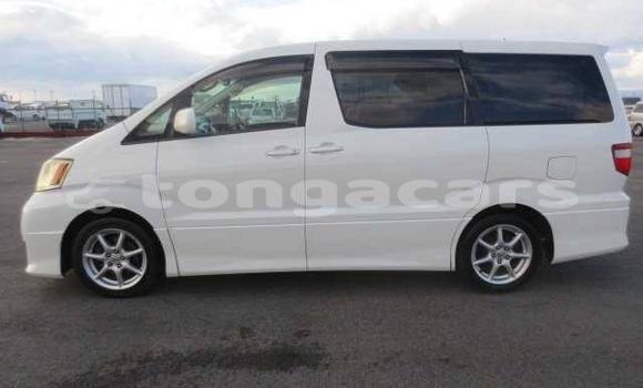 Acheter Occasion Voiture Toyota Alphard Autre à Mu'a, Tongatapu Acheter Occasion Voiture Toyota Alphard Autre à Mu'a, Tongatapu