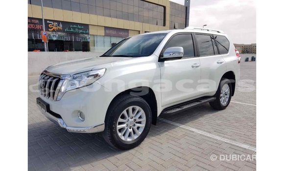 Buy Import Toyota Prado White Car in Import - Dubai in Eua Buy Import Toyota Prado White Car in Import - Dubai in Eua