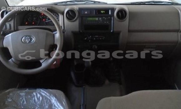 Medium with watermark 74e0f6bb 005f 4ed3 9050 fec592e5ad87