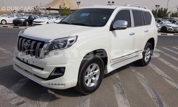Buy Import Toyota Prado White Car in Import - Dubai in Eua Buy Import Toyota Prado White Car in Import - Dubai in Eua