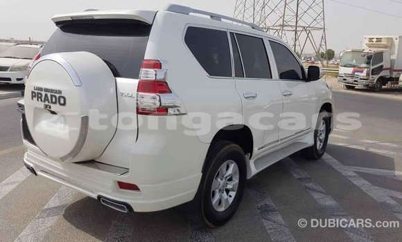 Buy Import Toyota Prado White Car in Import - Dubai in Eua Buy Import Toyota Prado White Car in Import - Dubai in Eua