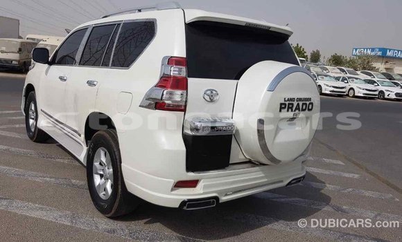 Buy Import Toyota Prado White Car in Import - Dubai in Eua Buy Import Toyota Prado White Car in Import - Dubai in Eua