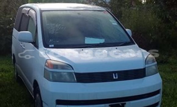 Medium with watermark post id 8583 idgjk