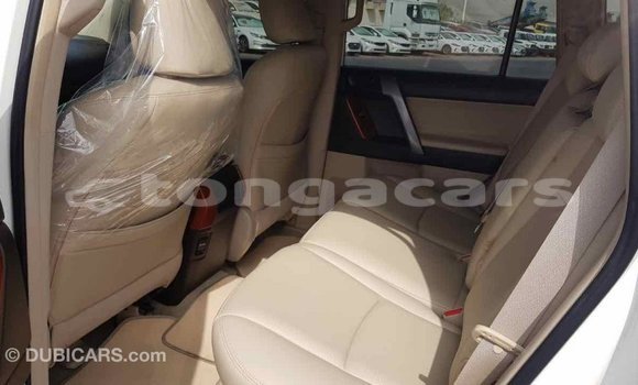 Buy Import Toyota Prado White Car in Import - Dubai in Eua Buy Import Toyota Prado White Car in Import - Dubai in Eua