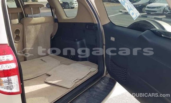 Buy Import Toyota RAV4 Other Car in Import - Dubai in Eua Buy Import Toyota RAV4 Other Car in Import - Dubai in Eua