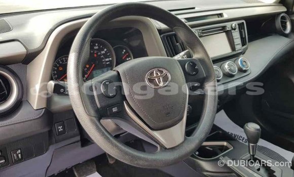 Buy Import Toyota RAV4 Other Car in Import - Dubai in Eua Buy Import Toyota RAV4 Other Car in Import - Dubai in Eua