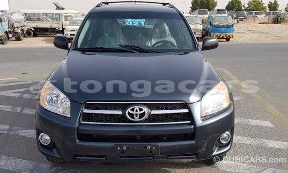 Buy Import Toyota RAV4 Green Car in Import - Dubai in Eua Buy Import Toyota RAV4 Green Car in Import - Dubai in Eua