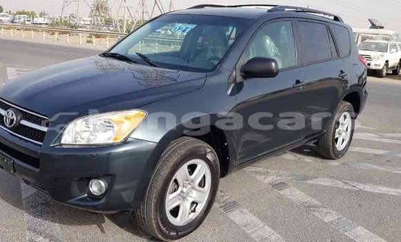 Buy Import Toyota RAV4 Green Car in Import - Dubai in Eua Buy Import Toyota RAV4 Green Car in Import - Dubai in Eua