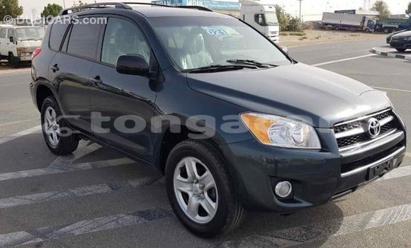 Buy Import Toyota RAV4 Green Car in Import - Dubai in Eua Buy Import Toyota RAV4 Green Car in Import - Dubai in Eua