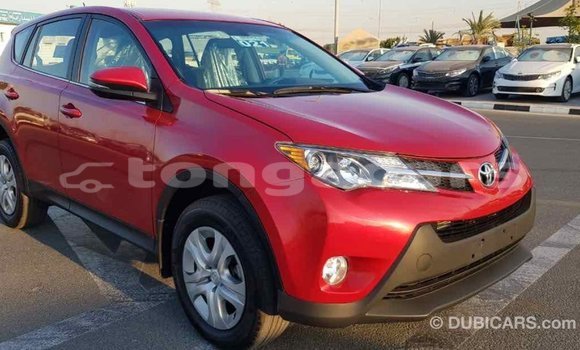 Buy Import Toyota RAV4 Red Car in Import - Dubai in Eua Buy Import Toyota RAV4 Red Car in Import - Dubai in Eua