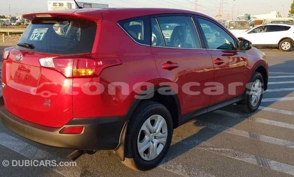 Buy Import Toyota RAV4 Red Car in Import - Dubai in Eua Buy Import Toyota RAV4 Red Car in Import - Dubai in Eua