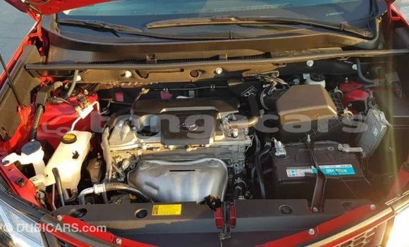 Buy Import Toyota RAV4 Red Car in Import - Dubai in Eua Buy Import Toyota RAV4 Red Car in Import - Dubai in Eua
