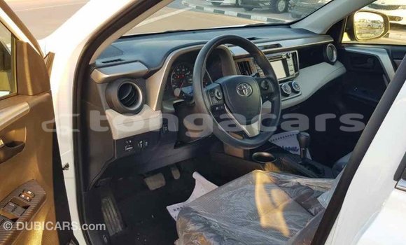 Buy Import Toyota RAV4 White Car in Import - Dubai in Eua Buy Import Toyota RAV4 White Car in Import - Dubai in Eua