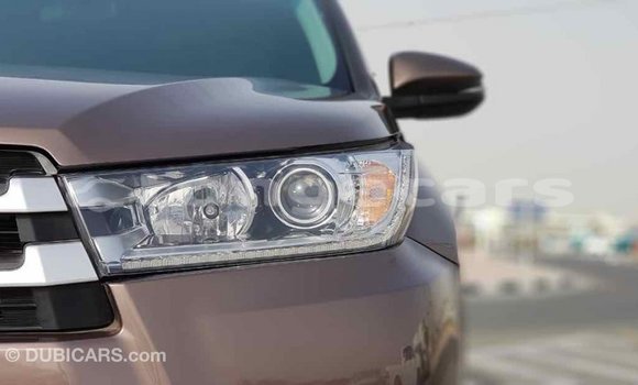Buy Import Toyota Highlander Brown Car in Import - Dubai in Eua Buy Import Toyota Highlander Brown Car in Import - Dubai in Eua