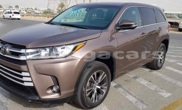 Buy Import Toyota Highlander Brown Car in Import - Dubai in Eua Buy Import Toyota Highlander Brown Car in Import - Dubai in Eua