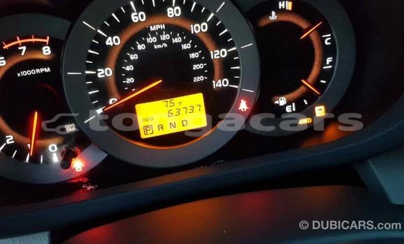 Acheter Import Voiture Toyota RAV4 Rouge à Import - Dubai, Eua Acheter Import Voiture Toyota RAV4 Rouge à Import - Dubai, Eua