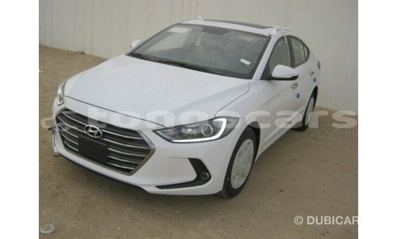 Acheter Import Voiture Hyundai Elantra Blanc à Import - Dubai, Eua Acheter Import Voiture Hyundai Elantra Blanc à Import - Dubai, Eua