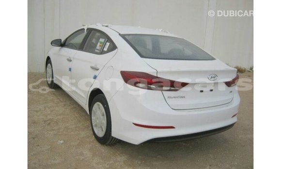 Acheter Import Voiture Hyundai Elantra Blanc à Import - Dubai, Eua