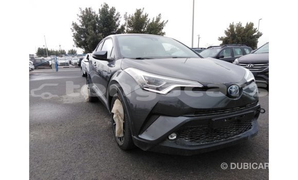 Acheter Import Voiture Toyota C-HR Autre à Import - Dubai, Eua Acheter Import Voiture Toyota C-HR Autre à Import - Dubai, Eua