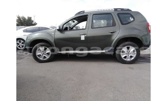 Acheter Import Voiture Renault Duster Vert à Import - Dubai, Eua Acheter Import Voiture Renault Duster Vert à Import - Dubai, Eua