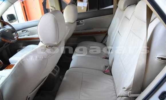 Acheter Occasion Voiture Toyota Harrier Blanc à Nuku'alofa, Tongatapu Acheter Occasion Voiture Toyota Harrier Blanc à Nuku'alofa, Tongatapu