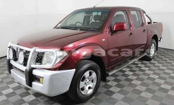 Acheter Occasion Voiture Nissan Navara Rouge à Nuku'alofa, Tongatapu Acheter Occasion Voiture Nissan Navara Rouge à Nuku'alofa, Tongatapu