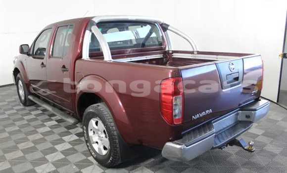 Acheter Occasion Voiture Nissan Navara Rouge à Nuku'alofa, Tongatapu Acheter Occasion Voiture Nissan Navara Rouge à Nuku'alofa, Tongatapu