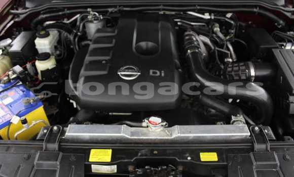 Acheter Occasion Voiture Nissan Navara Rouge à Nuku'alofa, Tongatapu Acheter Occasion Voiture Nissan Navara Rouge à Nuku'alofa, Tongatapu
